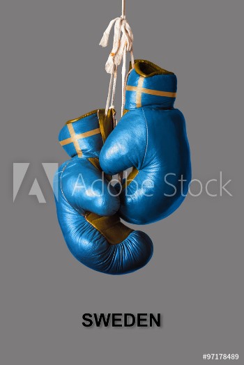 Picture of Boxing Gloves in the Color of Sweden